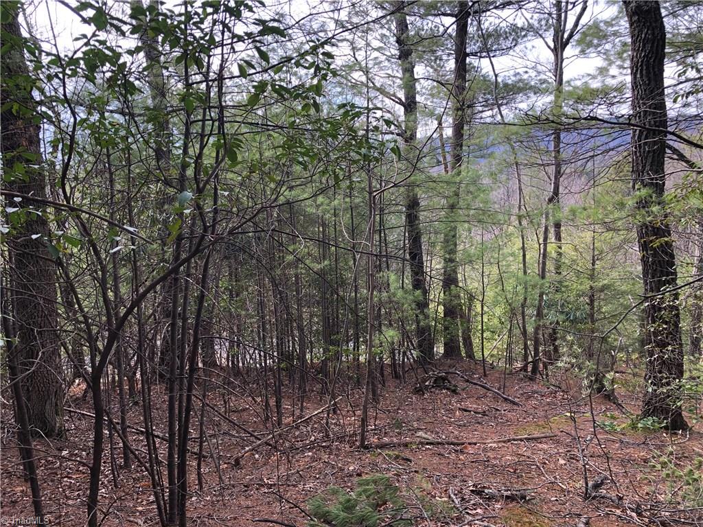 Lot 172 Blue Rock Road Purlear, NC 28665 - Photo 8 of 43