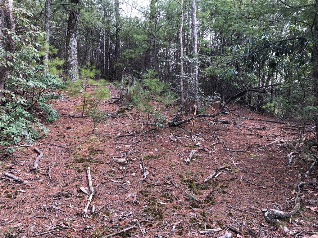 Lot 172 Blue Rock Road Purlear, NC 28665 - Photo 9 of 43
