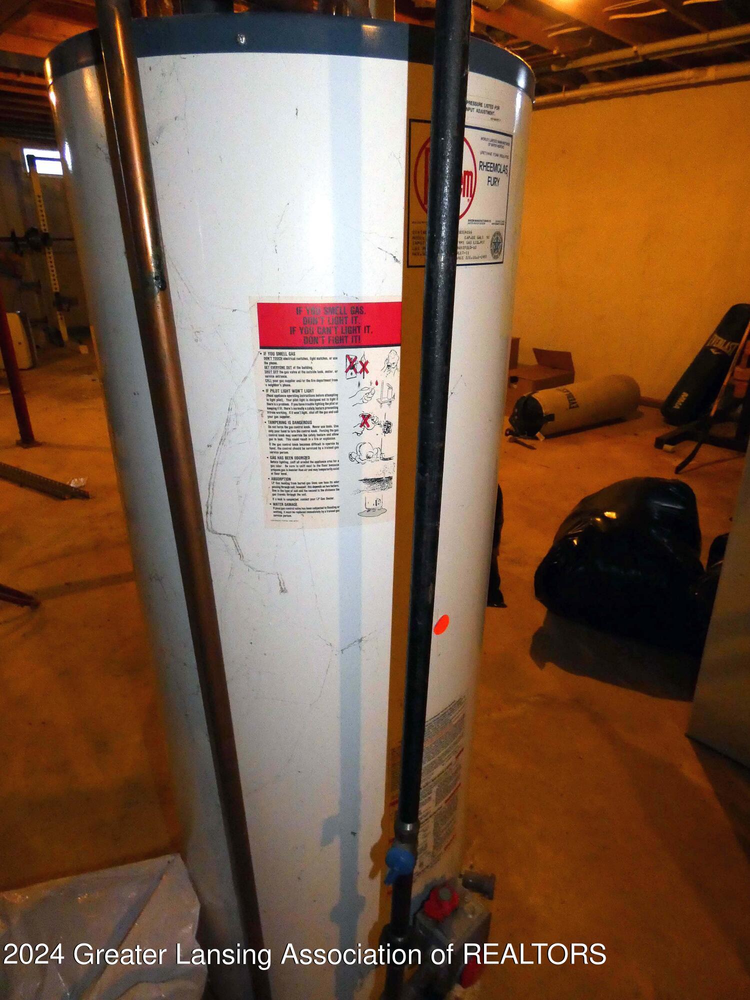 5963 West Chadwick Road Dewitt, MI 48820 - Photo 19 of 38 Water Heater