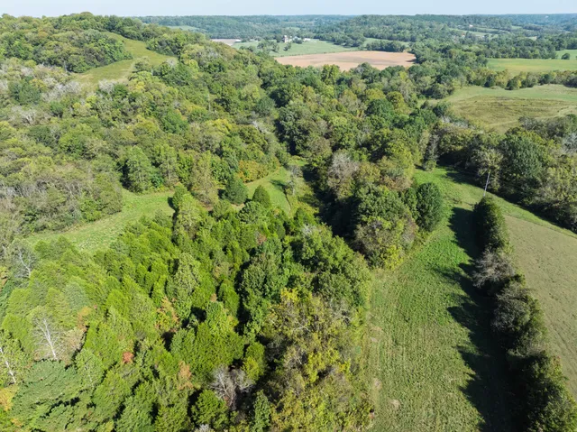 a view of a field with trees in background