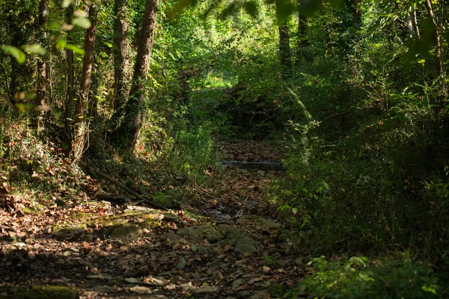 a view of an ocean from a balcony