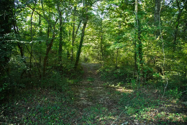 a view of a lake with mountains in the background