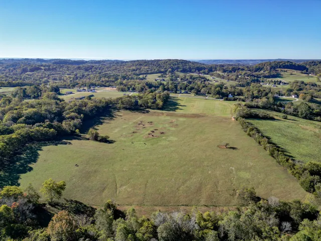 a view of a yard with large trees