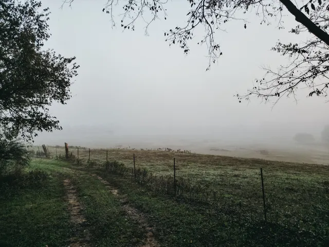 $1,595,000 | 3200 Williamsport Pike, Williamsport, TN 38487