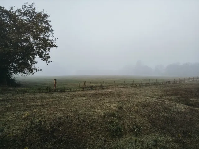 $1,595,000 | 3200 Williamsport Pike, Williamsport, TN 38487