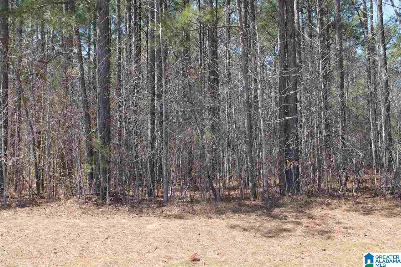 0 Clarendon Road, Unit LOT #65 Cullman, AL 35057 - Photo 6 of 7