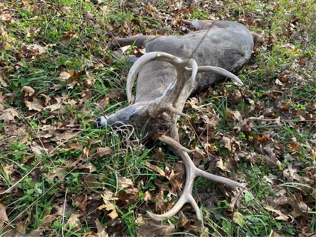 $4,990,000 | 770 East 1300th Road, Lawrence, KS 66046