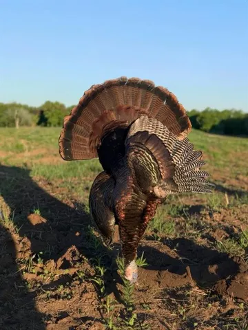 $4,990,000 | 770 East 1300th Road, Lawrence, KS 66046