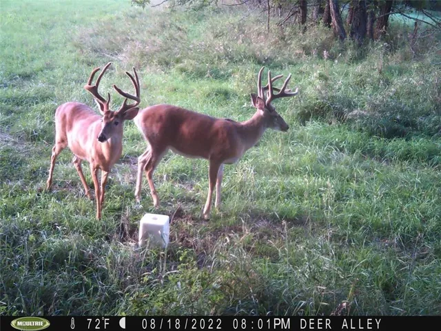 $4,990,000 | 770 East 1300th Road, Lawrence, KS 66046