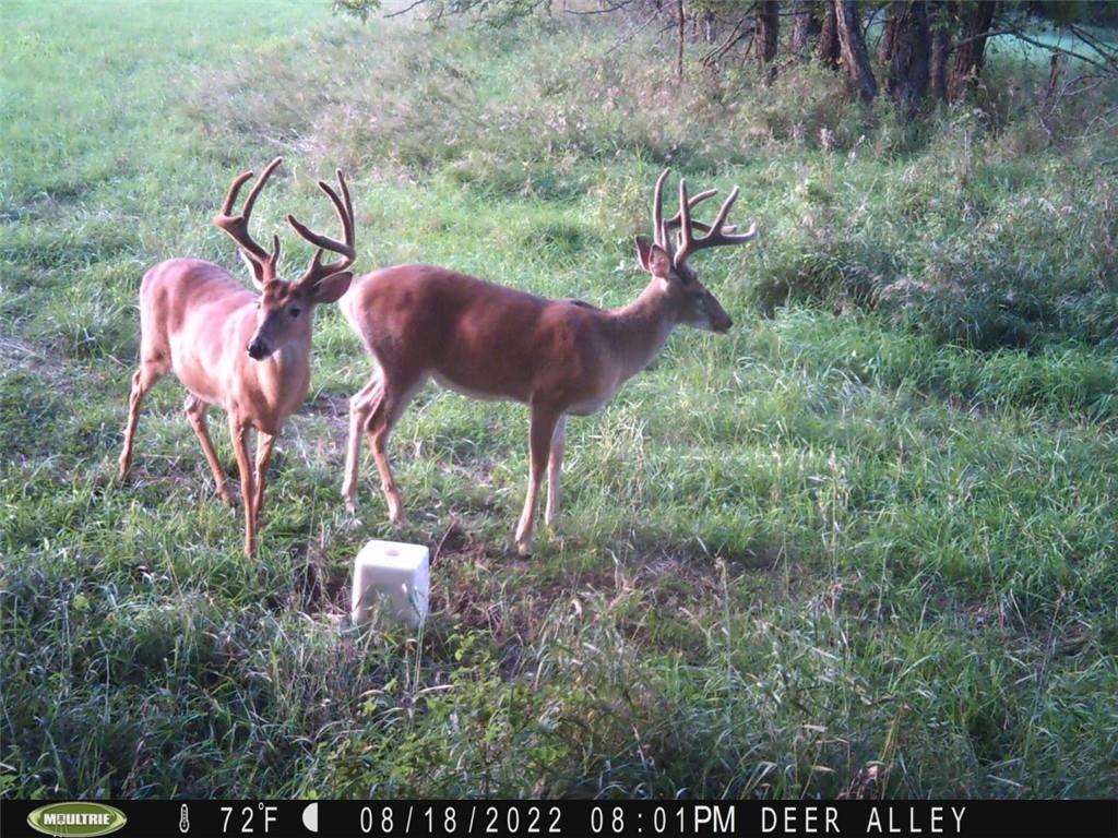 770 East 1300th Road Lawrence, KS 66046 - Photo 61 of 63