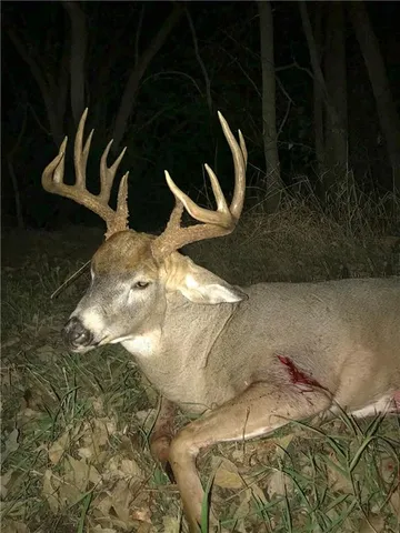 $4,990,000 | 770 East 1300th Road, Lawrence, KS 66046