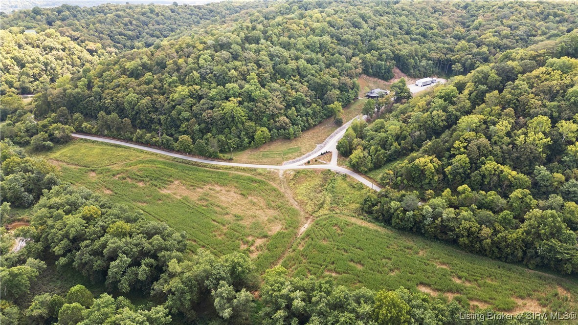 691 Locust Road Carrollton, KY 40045 - Photo 3 of 82