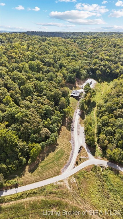 691 Locust Road Carrollton, KY 40045 - Photo 7 of 82