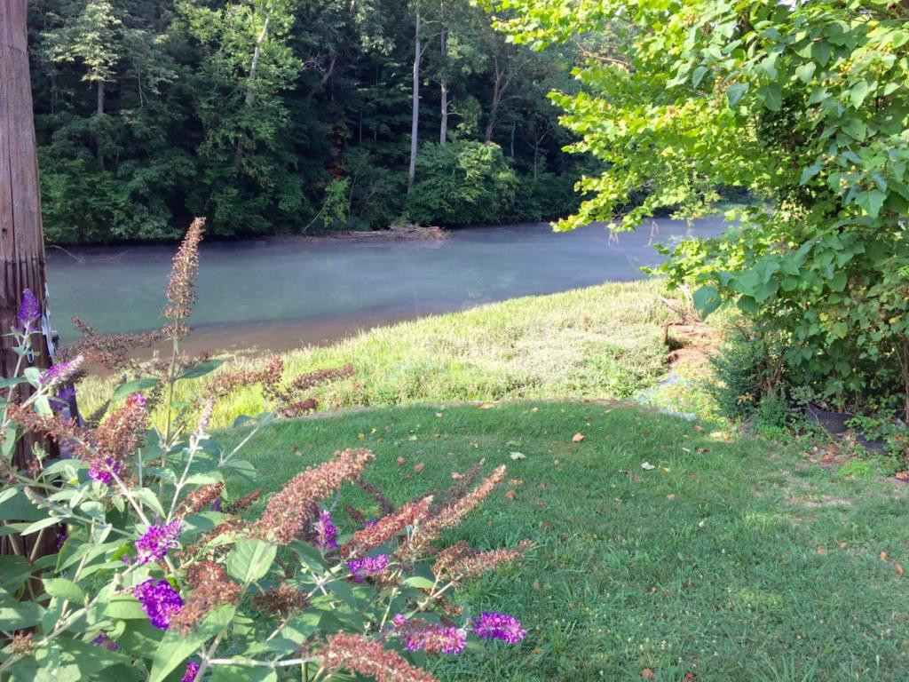 1573 Riverside Road Bluff City, TN 37618 - Photo 5 of 36 Photo 5