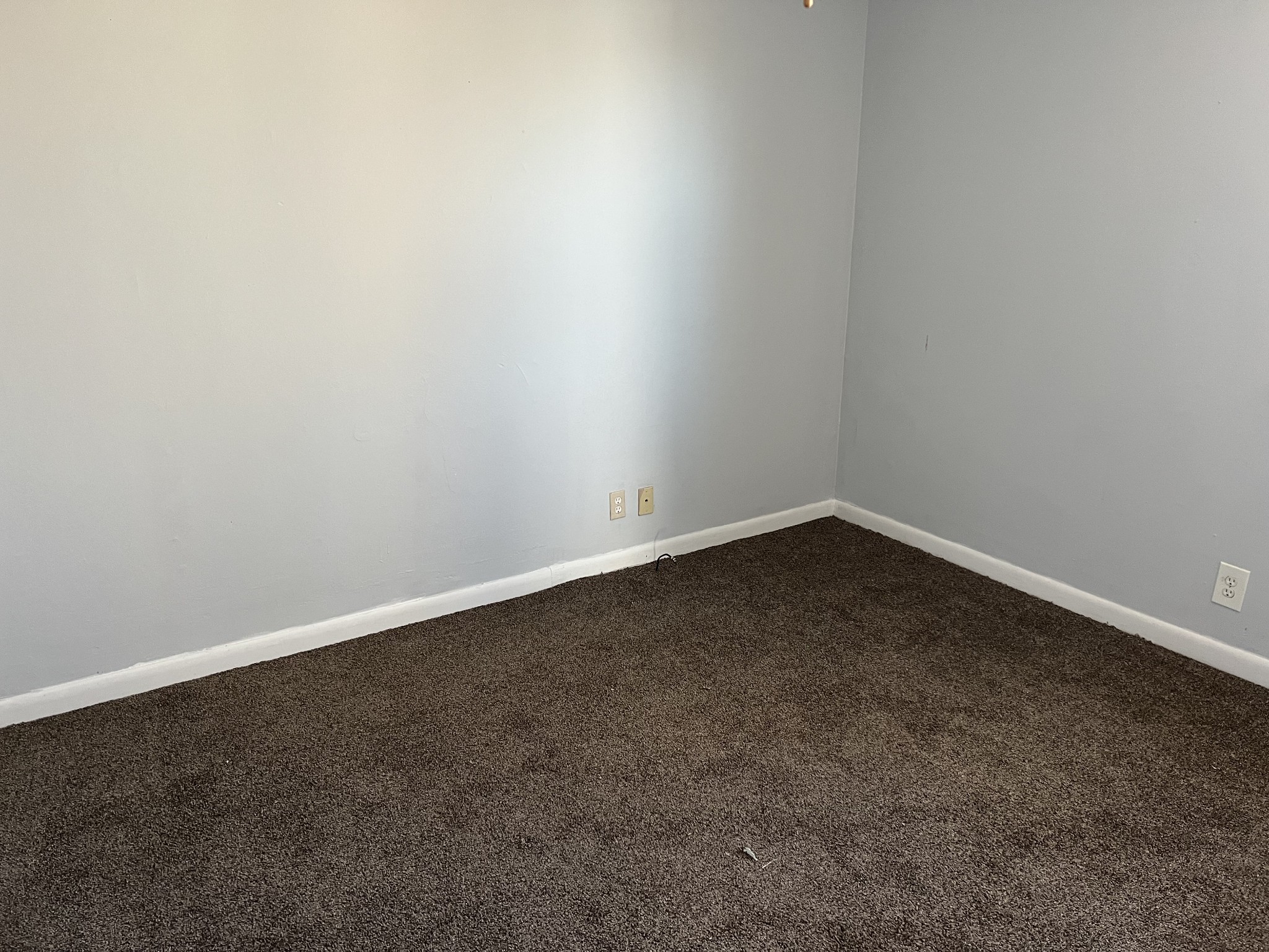 261 Raintree Drive Clarksville, TN 37042 - Photo 12 of 20 Gallery Image 12