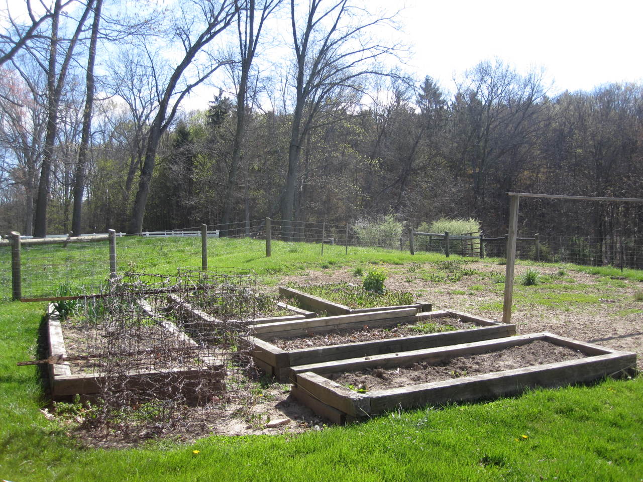 804 Private Road Lewisburg, WV 24901 - Photo 11 of 36 Raised garden beds