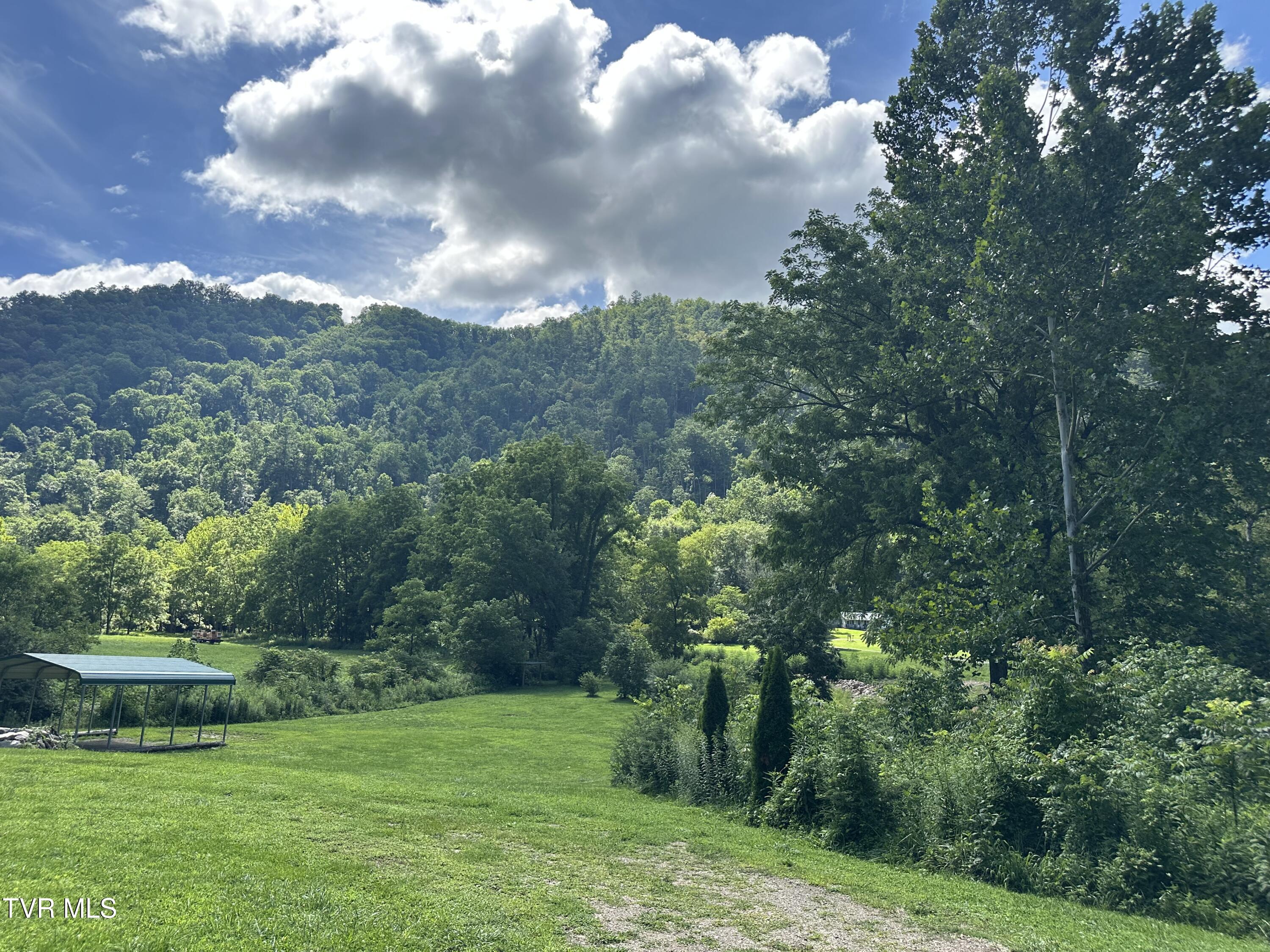 8777 Roan Creek Road Butler, TN 37640 - Photo 3 of 50 Creek and Mountains