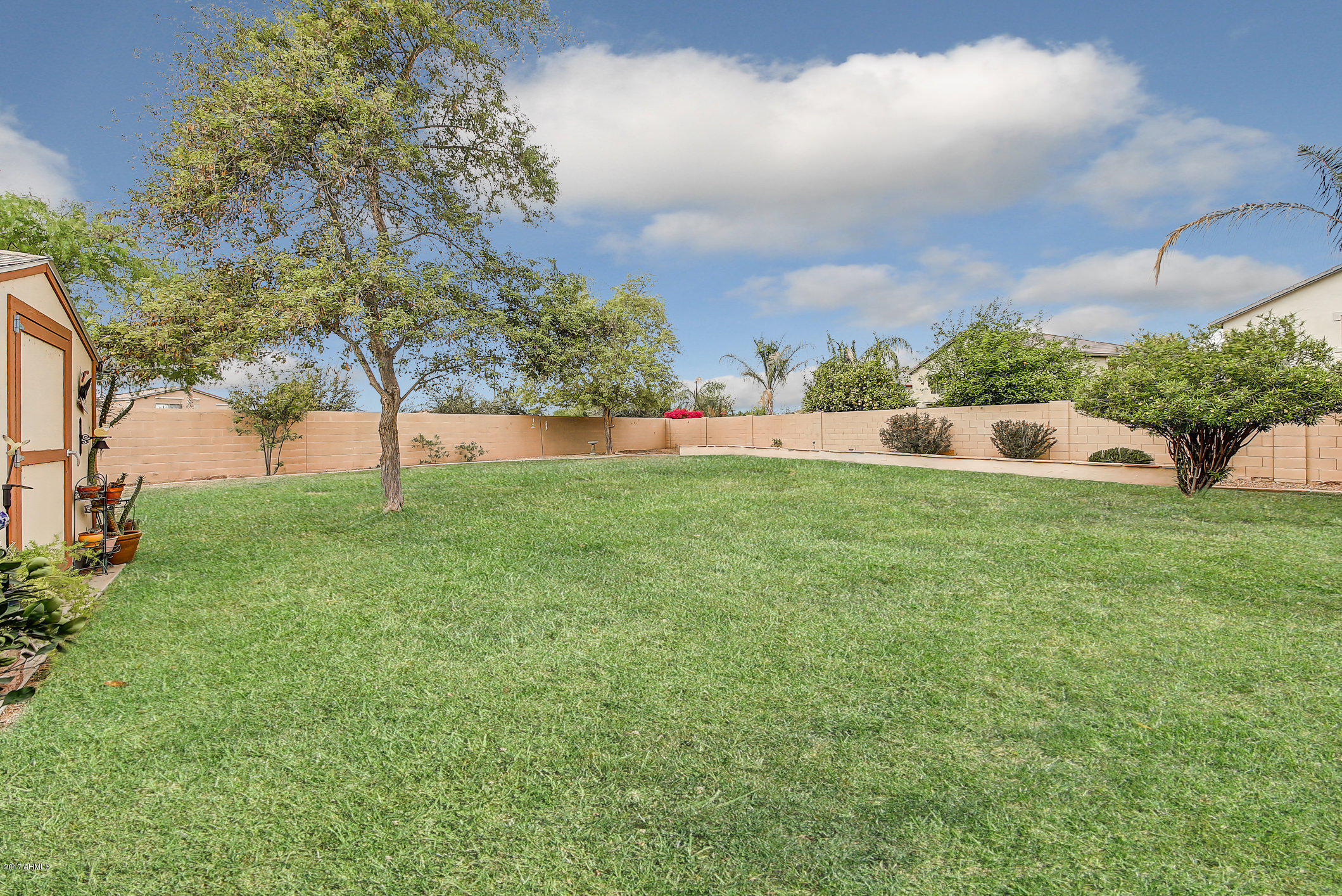 4290 South Splendor Place Gilbert, AZ 85297 - Photo 32 of 40 132-Backyard_1