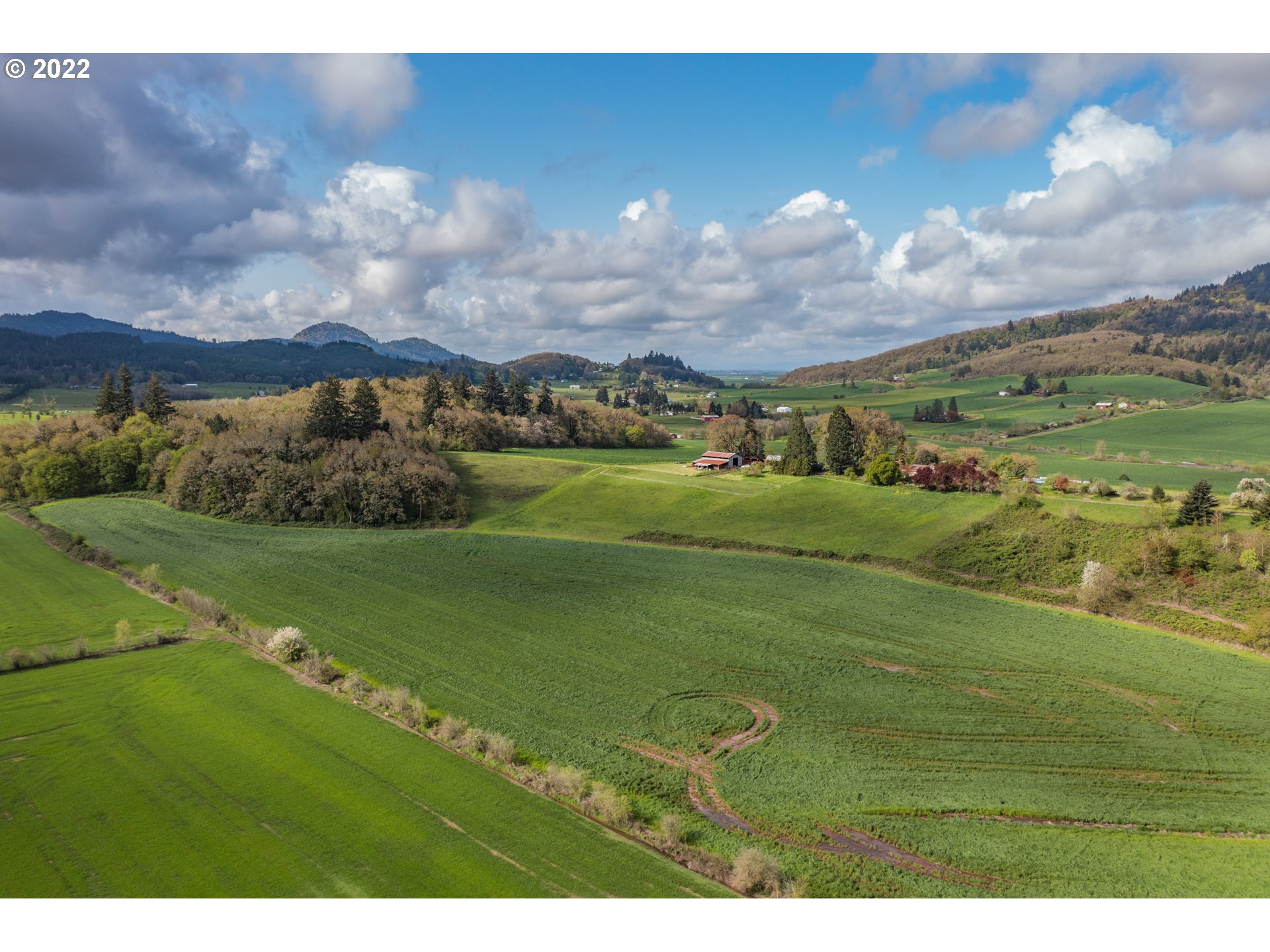 31721 Stoltz Hill Road Lebanon, OR 97355 - Photo 11 of 23 a view of a big yard with a large tree