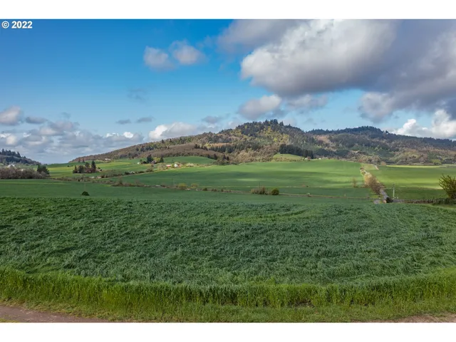 a view of outdoor space and mountain view