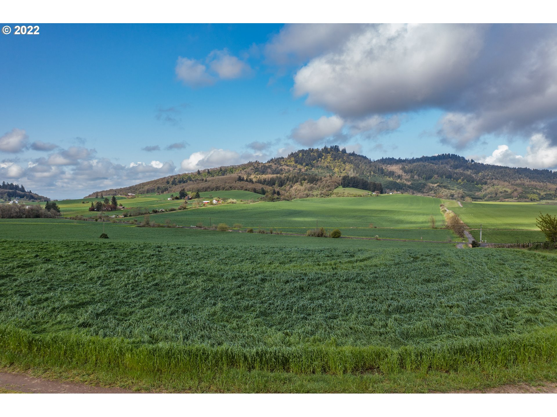 31721 Stoltz Hill Road Lebanon, OR 97355 - Photo 14 of 23 a view of outdoor space and mountain view
