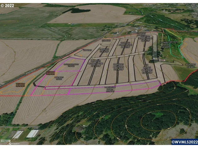 a view of a big room with a big yard and potted plants