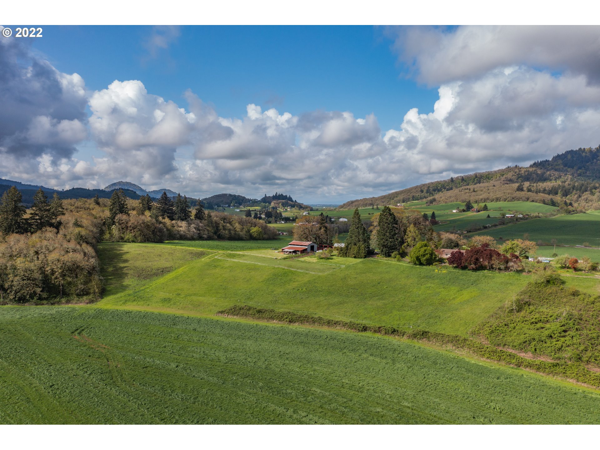 31721 Stoltz Hill Road Lebanon, OR 97355 - Photo 18 of 23 a view of a big room with a big yard and potted plants