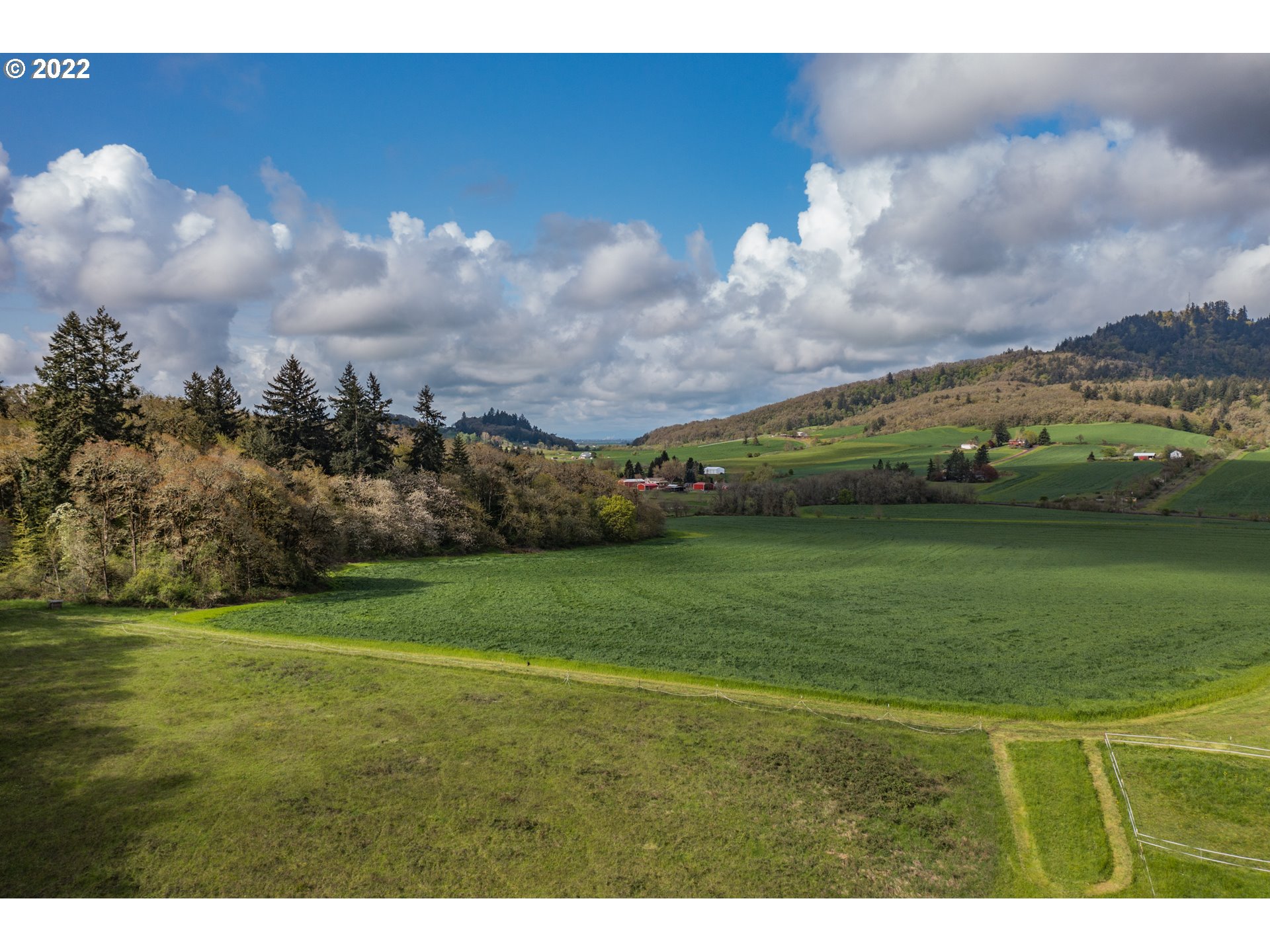 31721 Stoltz Hill Road Lebanon, OR 97355 - Photo 19 of 23 a view of an ocean and a yard