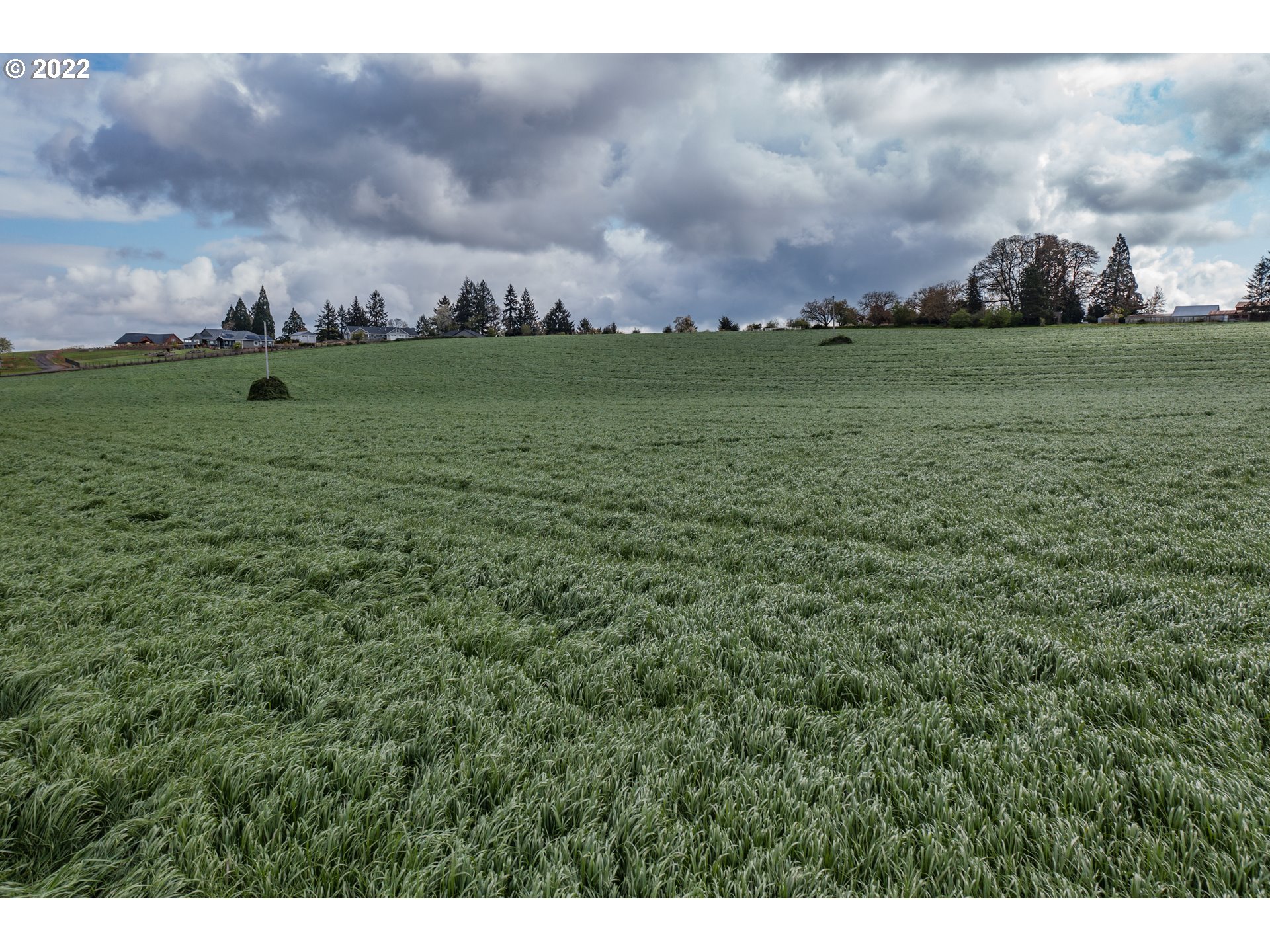 31721 Stoltz Hill Road Lebanon, OR 97355 - Photo 20 of 23