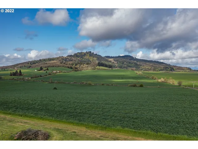 a view of a field with an ocean