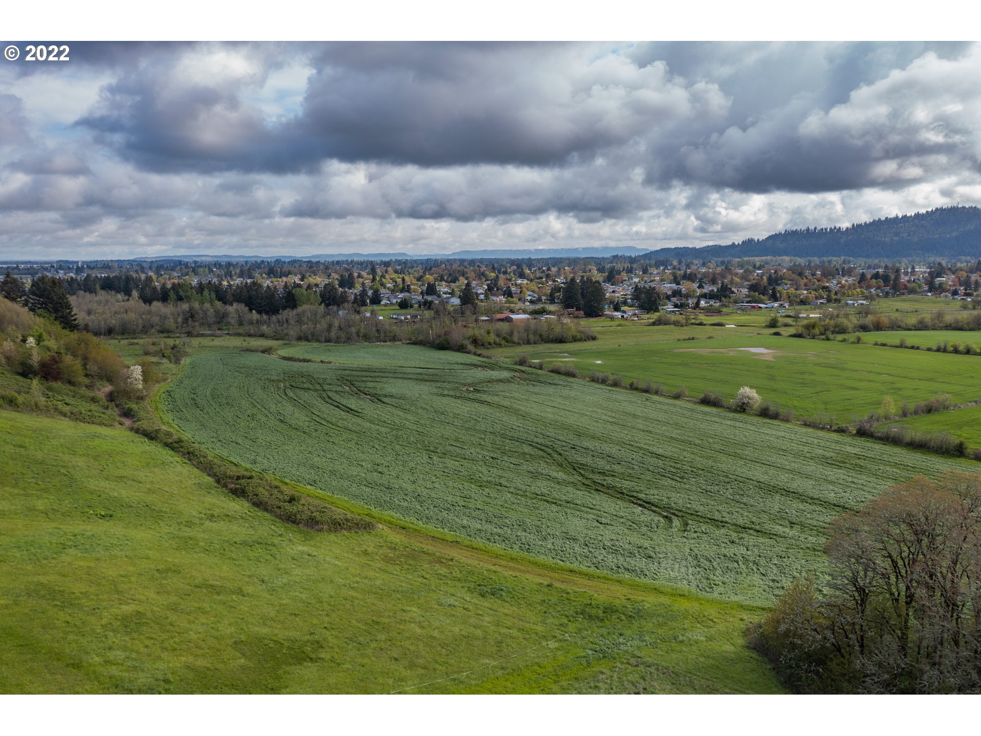 31721 Stoltz Hill Road Lebanon, OR 97355 - Photo 23 of 23 a view of a field with an ocean