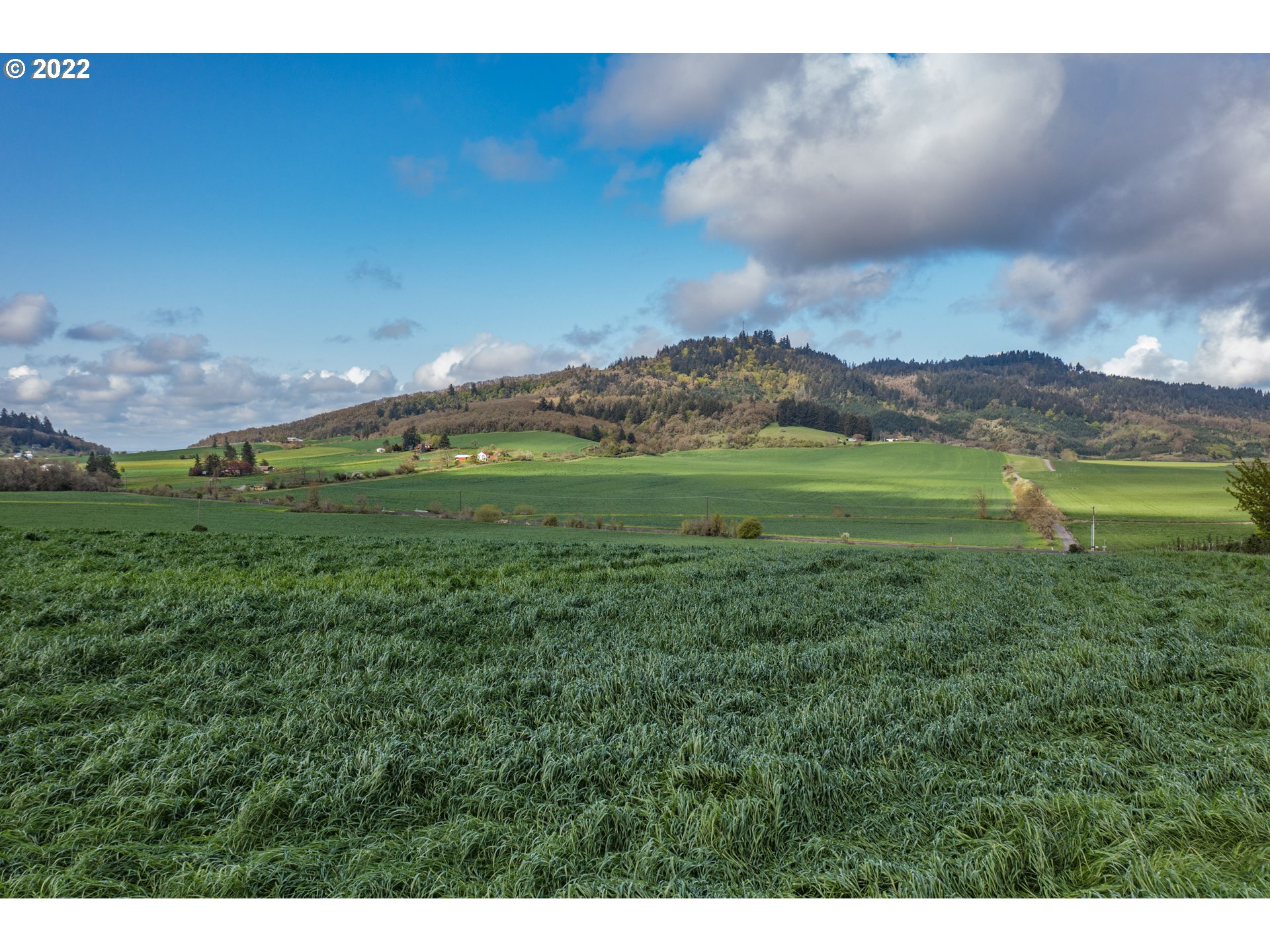 31721 Stoltz Hill Road Lebanon, OR 97355 - Photo 8 of 23 a view of a town with mountains in the background