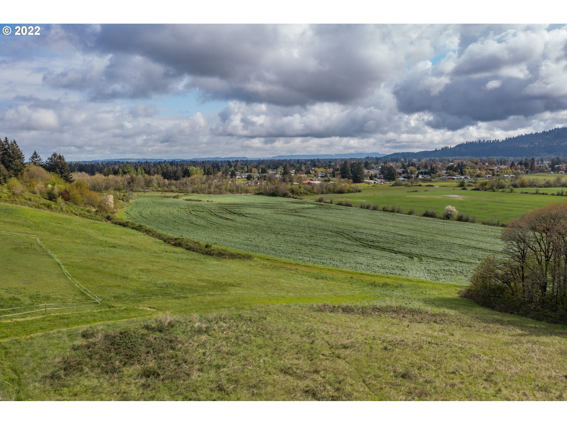 31721 Stoltz Hill Road Lebanon, OR 97355 - Photo 10 of 23 a view of a field with an ocean and trees