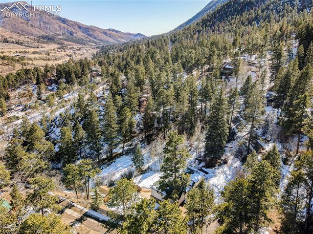 10204 Mountain Road Cascade, CO 80809 - Photo 35 of 37