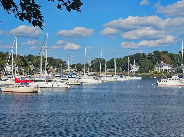 a view of a lake with houses