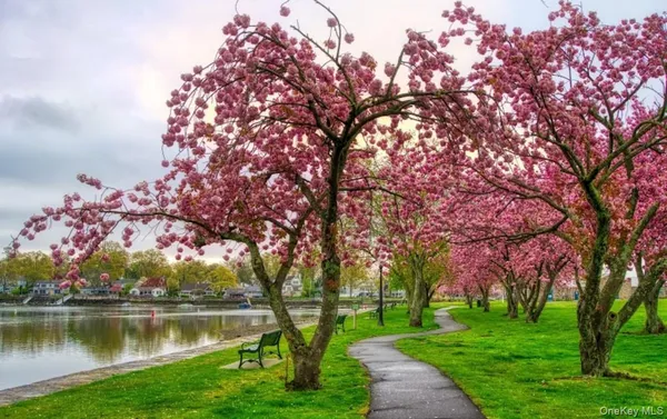 $147,500 | 604 Tompkins Avenue, Unit 10C, Mamaroneck, NY 10543