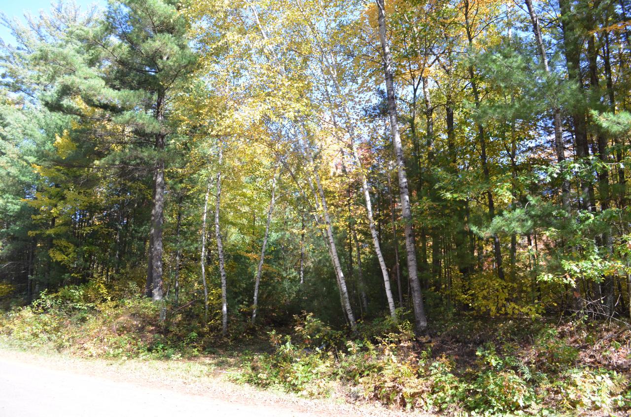 Lot 4 Deer Lake Road Tomahawk, WI 54487 - Photo 5 of 15 Gallery Image 5