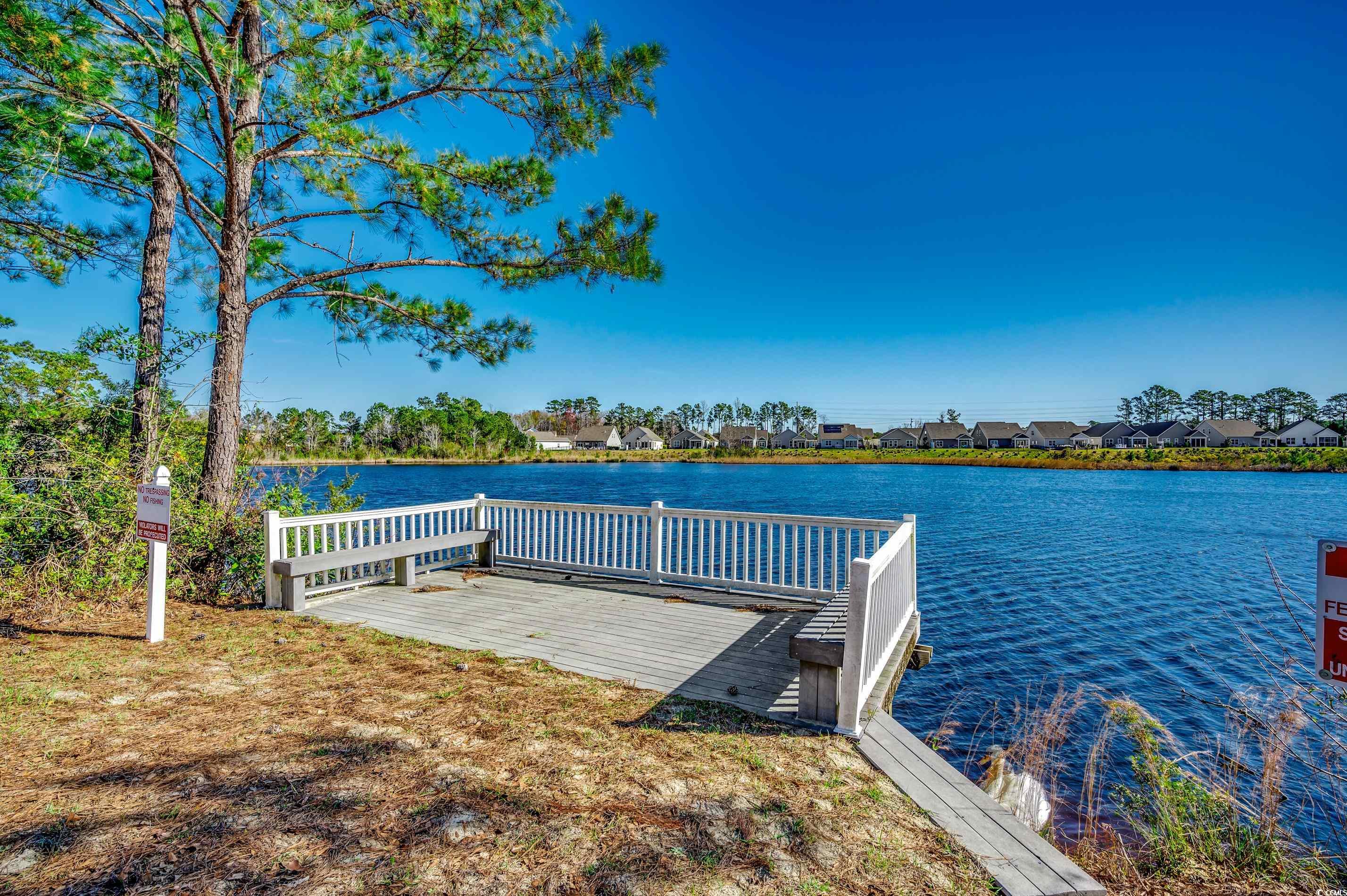 9203 Serenity Place Murrells Inlet, SC 29576 - Photo 2 of 15 Gallery Image 2