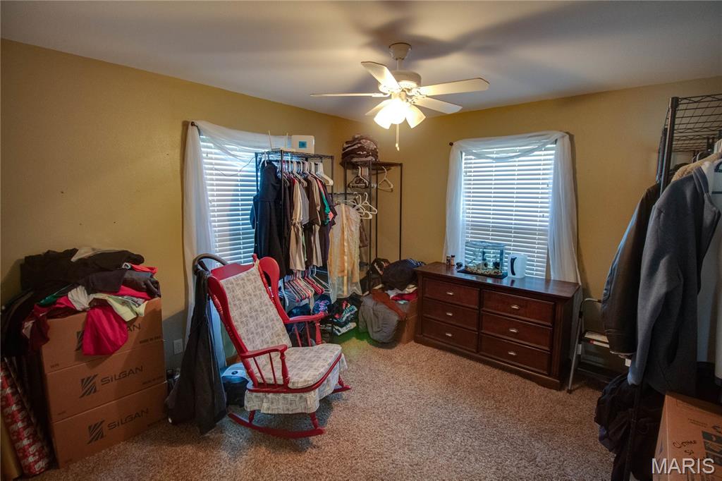 7093 Drew Road Shipman, IL 62685 - Photo 26 of 44