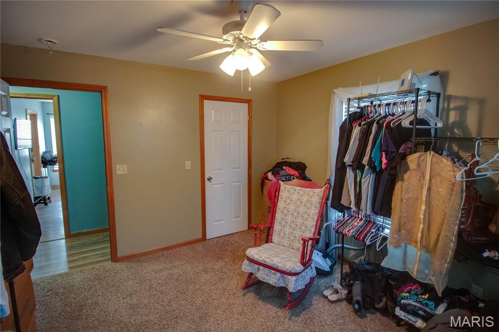 7093 Drew Road Shipman, IL 62685 - Photo 27 of 44