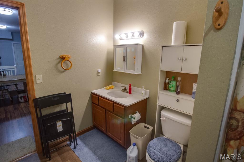 7093 Drew Road Shipman, IL 62685 - Photo 33 of 44