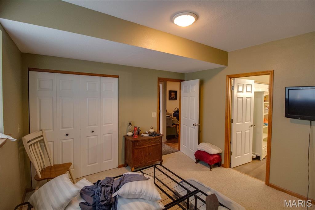 7093 Drew Road Shipman, IL 62685 - Photo 35 of 44