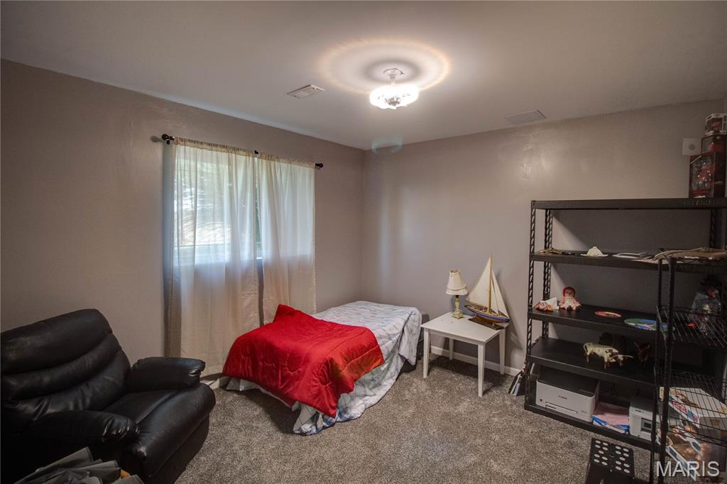 7093 Drew Road Shipman, IL 62685 - Photo 36 of 44