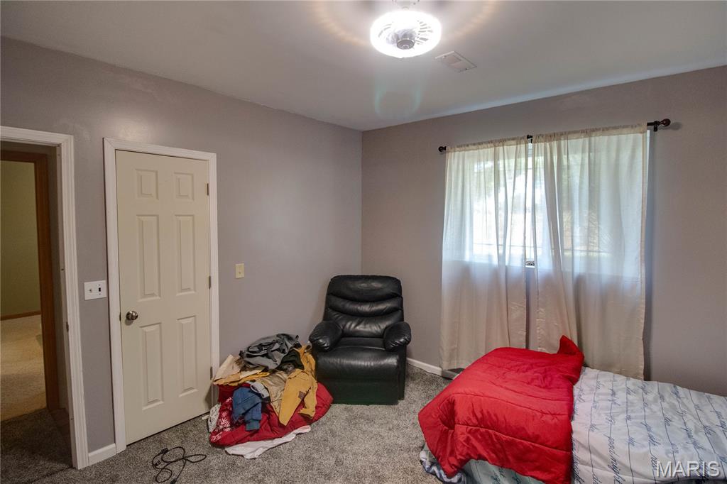 7093 Drew Road Shipman, IL 62685 - Photo 37 of 44