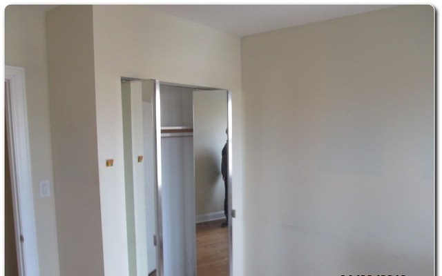 5655 North Spaulding Avenue, Unit 2W Chicago, IL 60659 - Photo 11 of 13 a view of closet