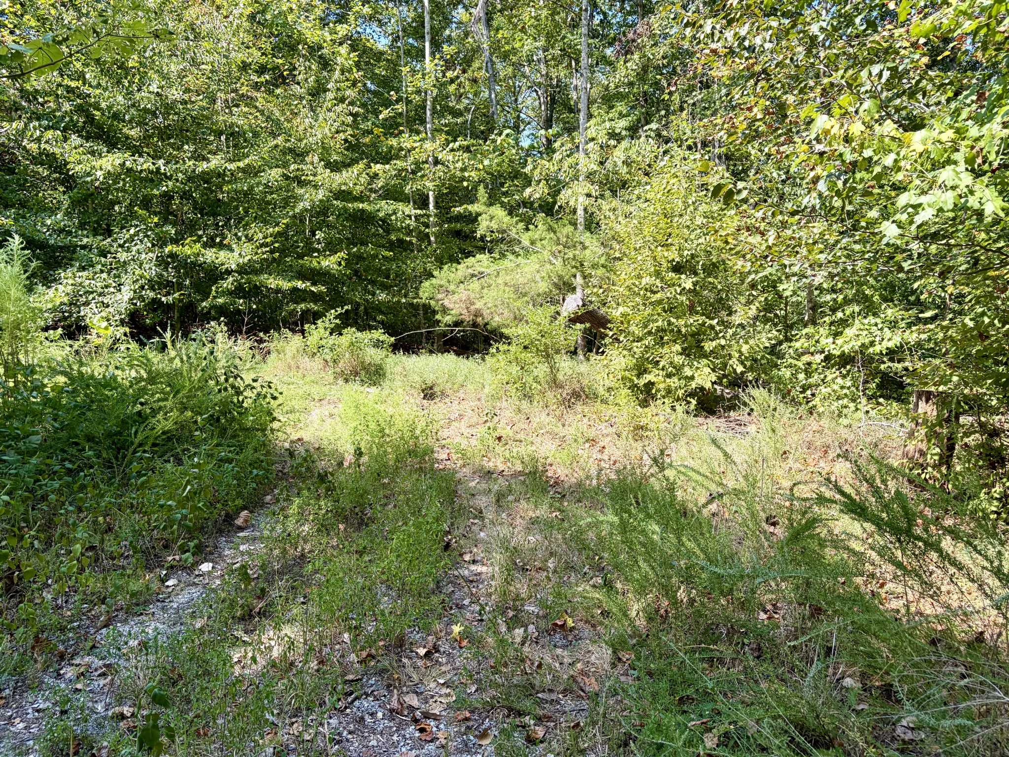 0 Mayes Road Kingston Springs, TN 37082 - Photo 9 of 30 Gallery Image 9