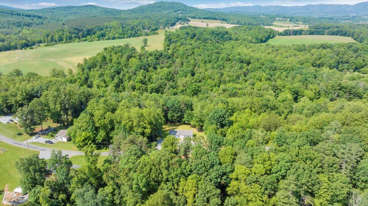 1616 Hickman Road Rocky Mount, VA 24151 - Photo 46 of 80 45-DJI_20250602084744_0001_D_MIB