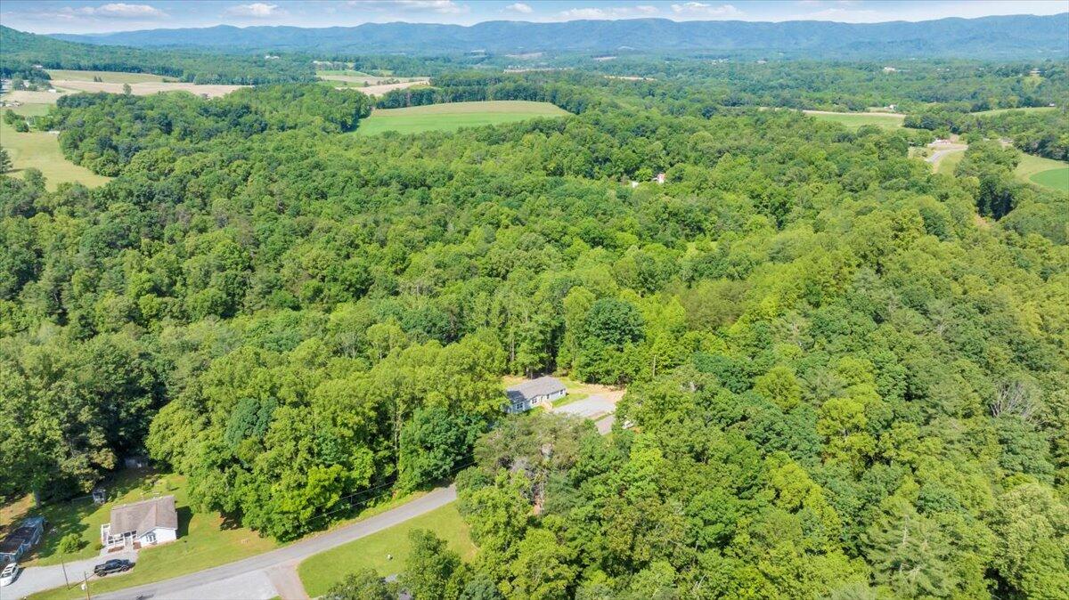 1616 Hickman Road Rocky Mount, VA 24151 - Photo 64 of 80 64-DJI_20250602085901_0024_D_MIB