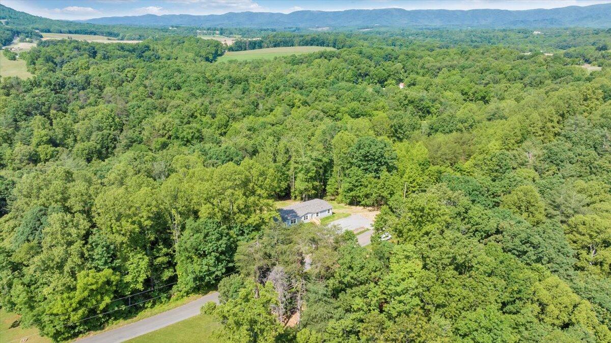 1616 Hickman Road Rocky Mount, VA 24151 - Photo 65 of 80 65-DJI_20250602090034_0025_D_MIB