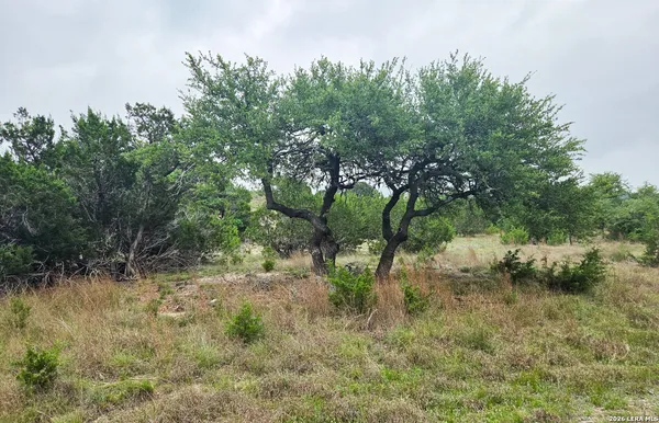 $287,500 | Tbd Falling Oak, Blanco, TX 78606